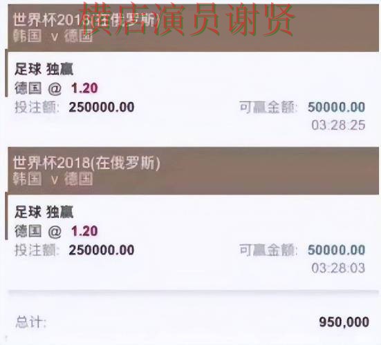 世界杯投注app平台对比评测与选择建议 世界杯投注app平台对比评测与选择建议